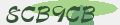 Anti-spam code